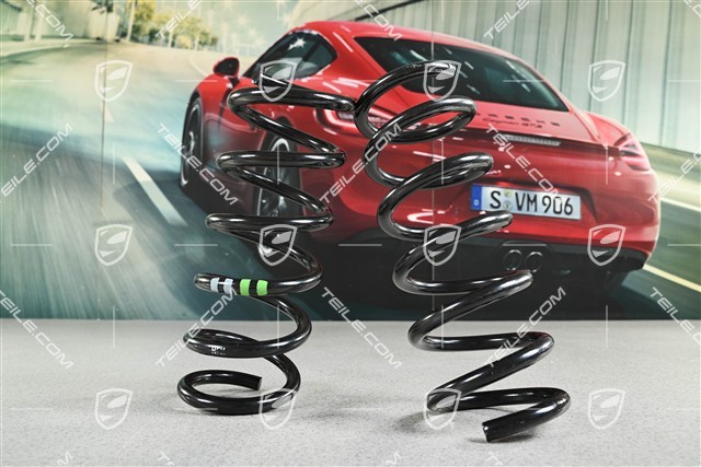 Schraubenfeder, HA, KENN - Grau / Grün