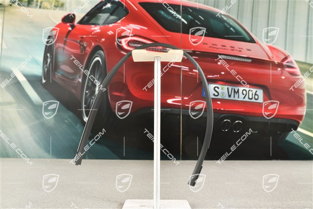 Abdeckleiste, Seitenschweller,  Turbo/ Turbo-Look, Hinten, R