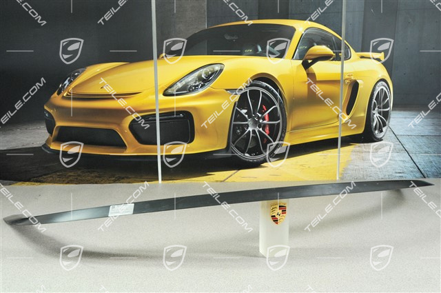 Spoiler zderzaka GT3 RS (listwa)