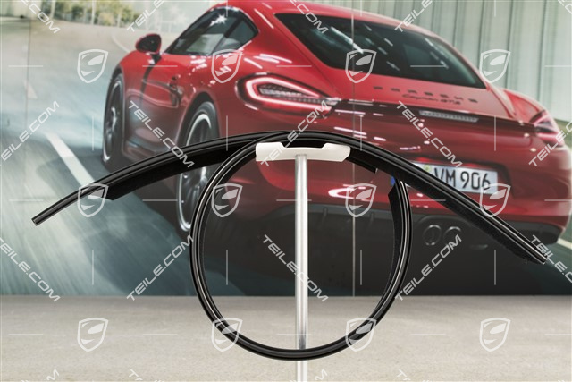 Abdichtleiste Tür Aussen, Cabrio, L