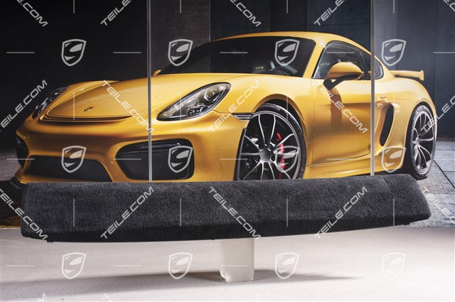 Verkleidung, Rückwand, Coupe, Heckscheibenwischer, Teppich, Schwarz
