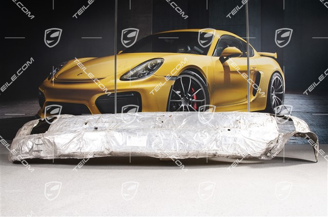 Hitzeschutz, Mitte, C2, C4, RS, Turbo-Look