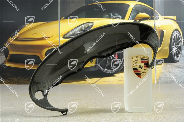 Blende, Tacho, carbon