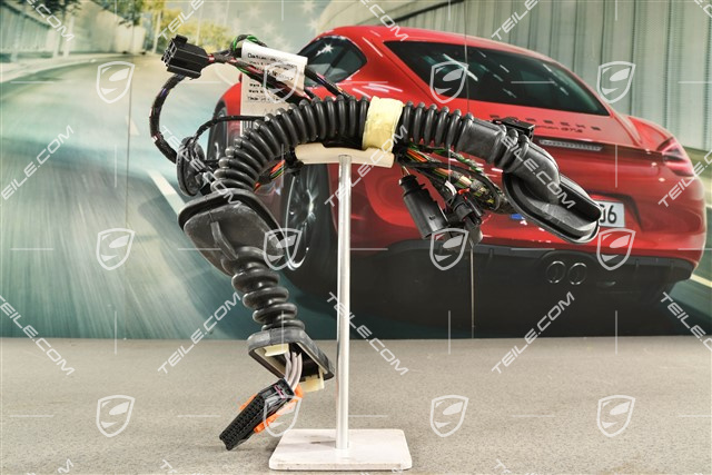 Wiązka instalacji elektrycznej drzwi tylnych, Bose, L=R