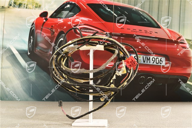 Wiring harness, Rooflining