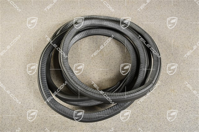 Türdichtung / Hintertür, innen, L=R