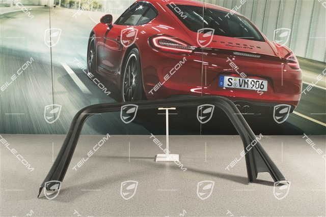 Hintertür, Fensterrahmenverkleidung, Titanschwarz, R