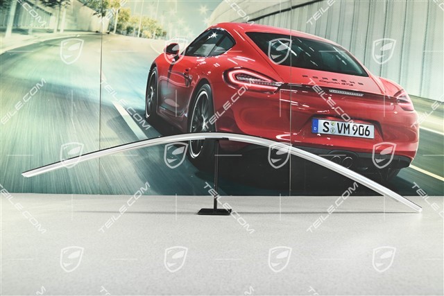 Zierleiste, Dachrahmen vorne, Hochglanz, L