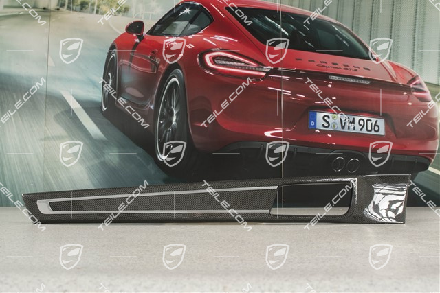 Zierleiste für Vordertür verkleidung Carbon, Hochglanz, L