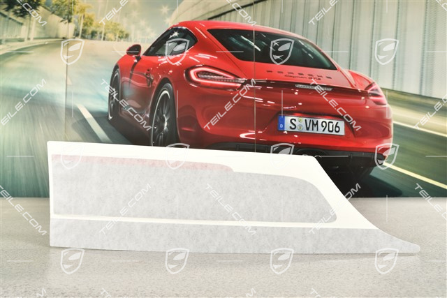 Dekorfolie / Dekorstreifen, RS 4.0, Seitlich, Stosstange Hinten, Indischrot / GT Silber metallic, L