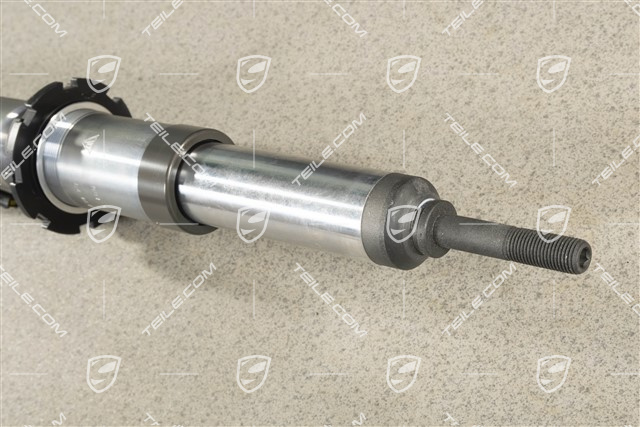 Schwingungsdämpfer, Komplett, PASM, Hinterachse, GT4, L=R