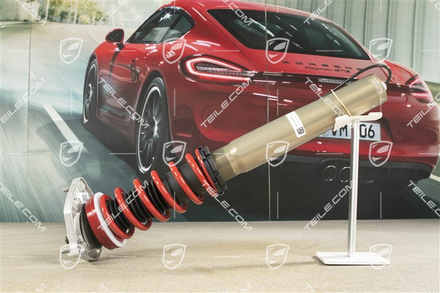 Stossdämpfer / Schwingungsdämpfer, VA, PASM, Komplett, GT4, L=R
