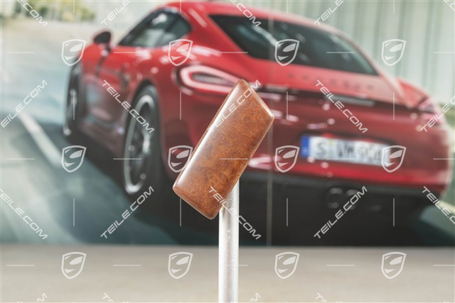 Zierleiste für Vordertür verkleidung, Kurz, Olivemaser-hell-mattt, L