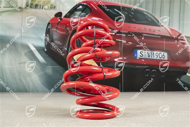 Schraubenfeder, GT3 / R, PASM, Satz, L+R