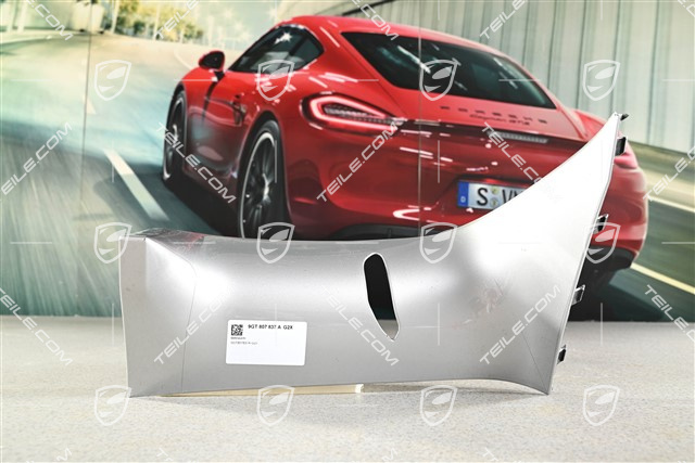 Mudguard trim, GT3RS, L