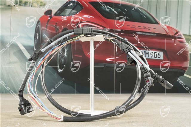 Kabelstrang für ABS und Bremsenverschleißanzeige, Hinten, R