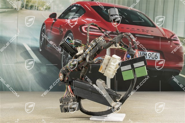 C4 / C4S, Kabelstrang, PSM