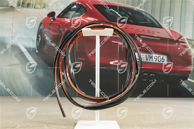 Gasket for rear glass