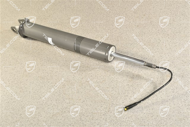 Stossdämpfer / Schwingungsdämpfer, HA, L=R