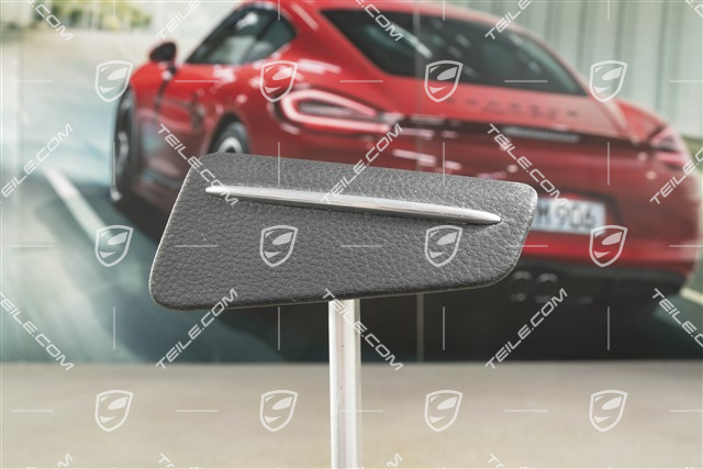 Ascher blende, Tür hinten, Schwarz, R