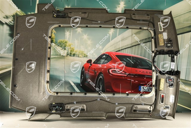 Dachverkleidung Himmelverkleidung, Glasdach / Panoramadach, Achatgrau