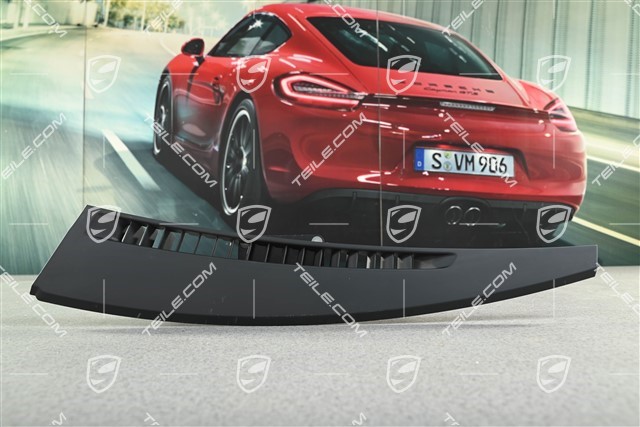 Defrosterblende, Schwarz, beschädigt, L