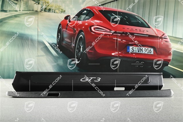 Blenden/Einstiegleisten, unbeleuchtet , Carbon, GT3, Satz L+R