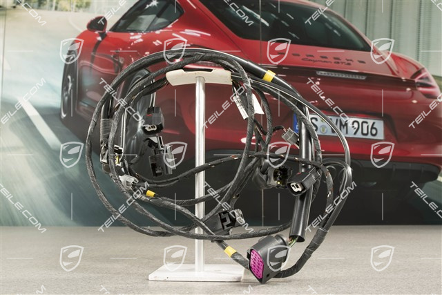 Kabelstrang, vordere Verkleidung