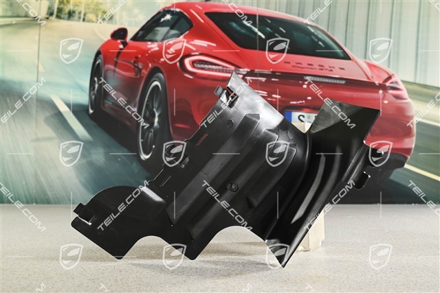 Verlängerung Verkleidung Radhausschale vorne, L