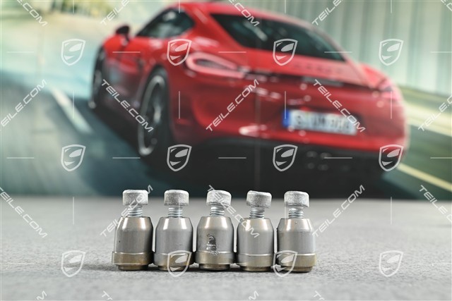 GT3 / GT3RS / GT2RS / Speedster, Brake Rotor Screw Set, central wheel lock