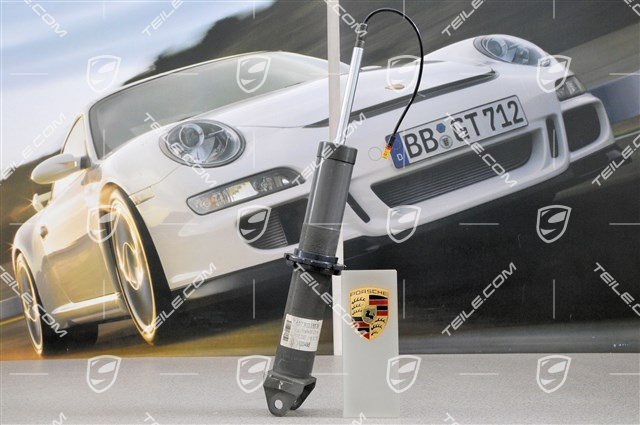Schwingungsdämpfer, GT3, L=R Schwingungsdämpfer, GT3, L=R