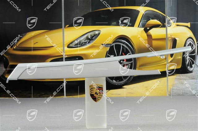 Blende, Tür, hinten, Aluminium gebürstet, R Blende, Tür, hinten, Aluminium gebürstet, R