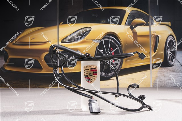 Wiring harness, rear bumper, C4/C4S, PDC