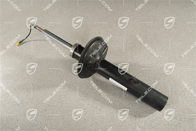 Schwingungsdämpfer, PASM, Hinterachse, L=R