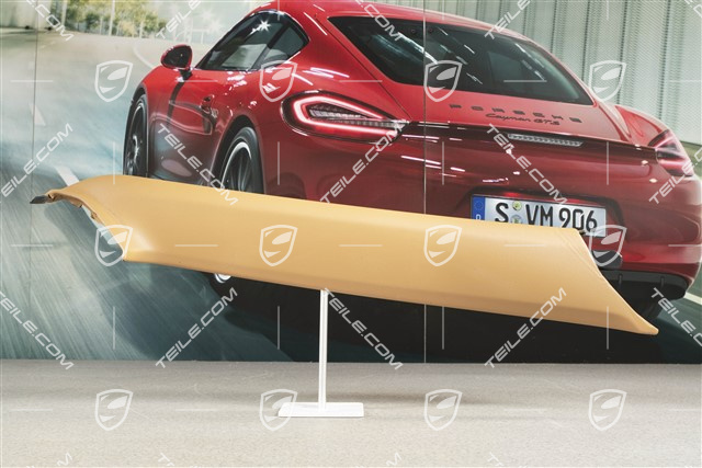 Verkleidung von A-Säule, Coupe, Kunstleder, Sandbeige, R