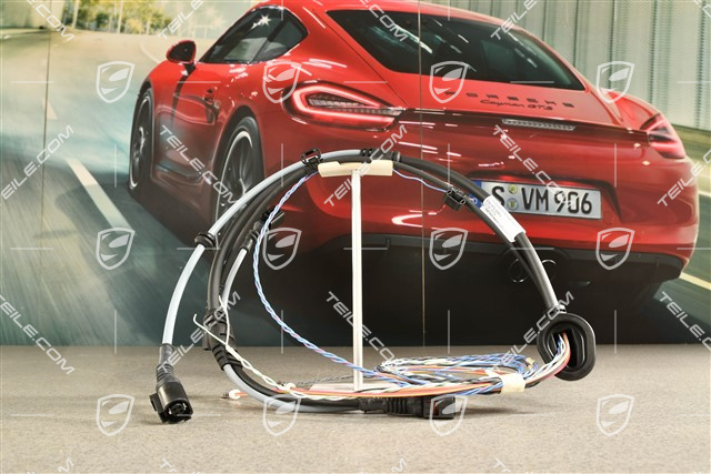 Leitungsstrang / Kabelstrang für ABS und Bremsbelagverschleißanzeige, Hinten, R