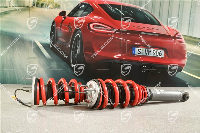 Stoßdämpfer Satz, Hinterachse, GT2RS/GT3RS, PASM, L+R