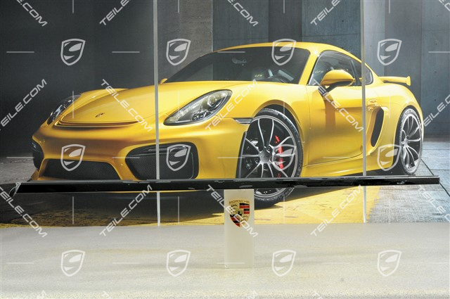 Zierleiste mit Dichtung, Aluminium Paket, Tür vorn, schwarz, L