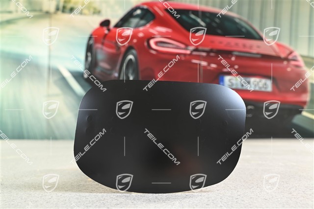 Fog Light Lamp Cover Front, R