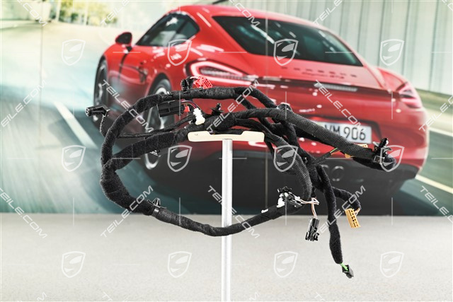 Kabelstrang / Bose soundpaket