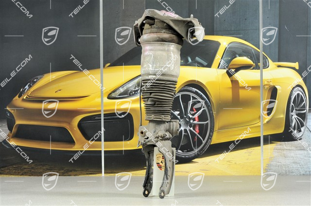 Federbein, pneumatisch, (S V8 4.5L 250KW, Turbo V8 4.5L 330KW), L Federbein, pneumatisch, (S V8 4.5L 250KW, Turbo V8 4.5L 330KW), L