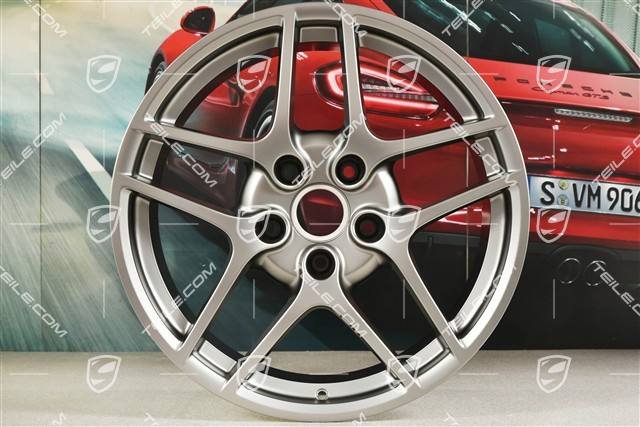 19" Felge Carrera S II, 11J x 19 ET67, Platinum Seidenmatt