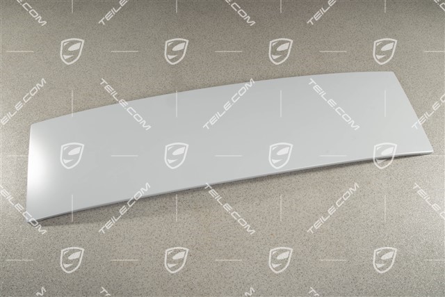 Blende / Dachleiste hinten