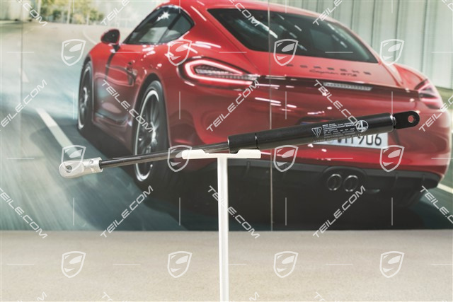 Front bonnet gas strut, L=R