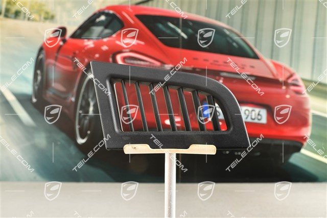Coupe, Gitter, C-Säule, Seeblau, L