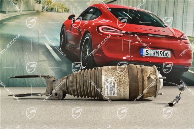 3,6L / 3,0 TDI / 4,2 TDI, Stossdämpfer / Schwingungsdämpfer Komplett, Luftfederung, VA, PASM, R