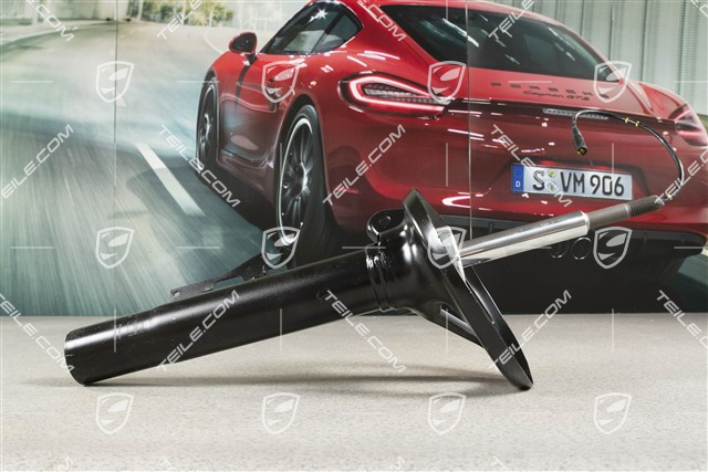 Stoßdämpfer, elektronische Dämpferregelung PASM, C4 Targa / C4S Targa, R