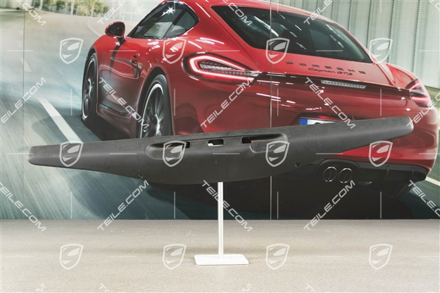 Verkleidung, Schwarz, Targa, L