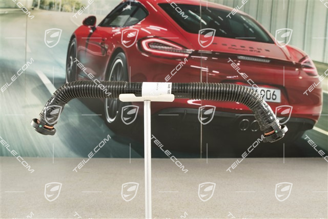4,8L S / GTS, Vent line / breather hose, Oil separator