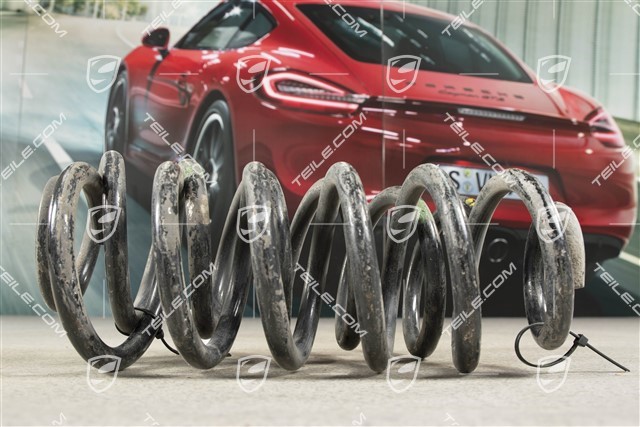 Schraubenfeder, HA, Coupe, Sportfahrwerk, 6 Gang Schaltergetriebe, KENN- Grün, Weiss
